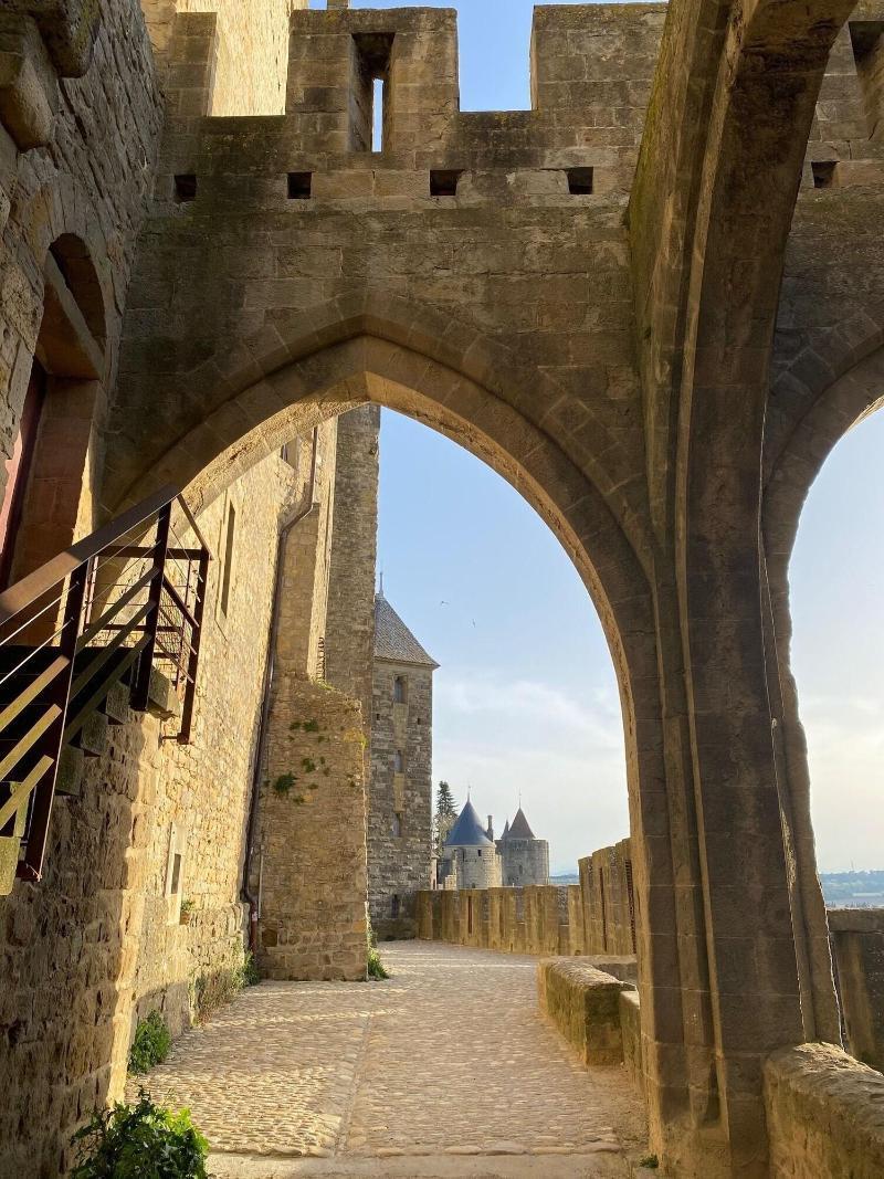 Vue Sur Cite - Spa Carcassonne Eksteriør bilde