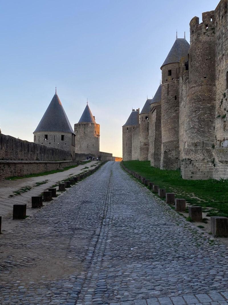 Vue Sur Cite - Spa Carcassonne Eksteriør bilde